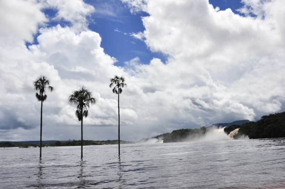 Foto clássica de Canaima, no sul da Venezuela, com as palmeiras alagadas e as cachoeiras ao fundo
